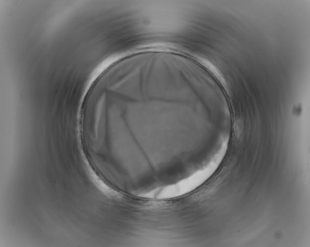 X0000090761482200708172037