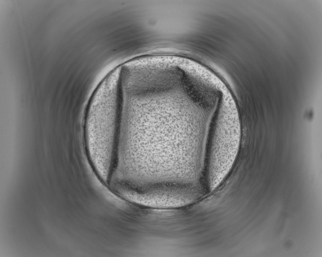 X0000090761483200708172037