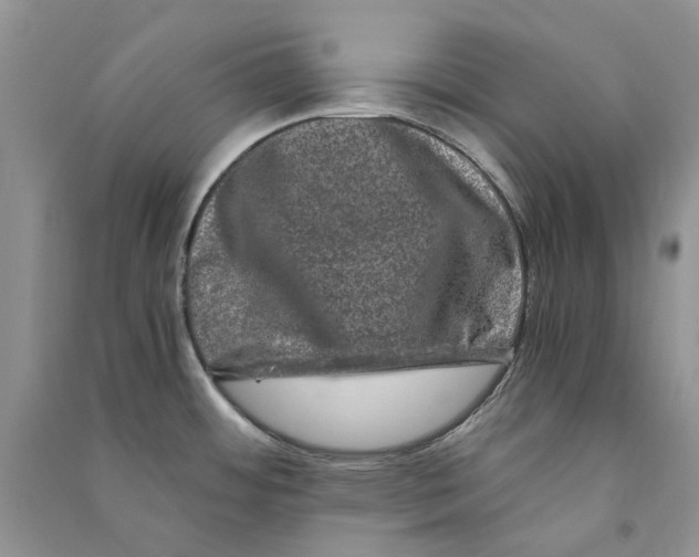 X0000090761484200708172037