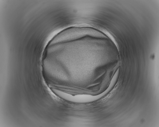 X0000090761485200708172037