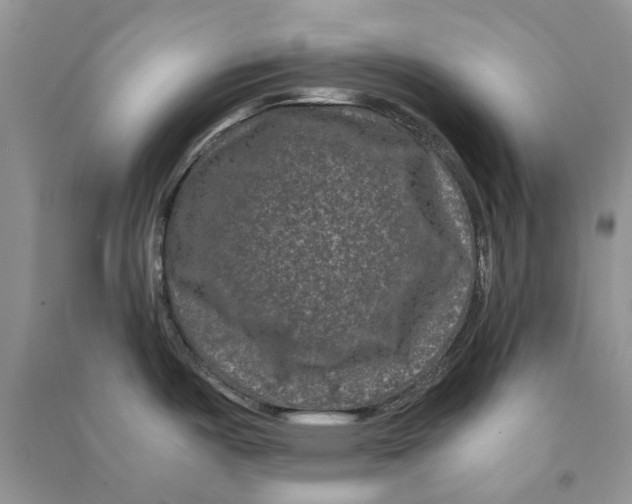 X0000090761487200708172037