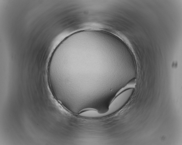 X0000090761488200708172037