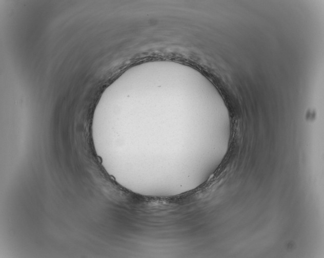 X0000090761489200708172037