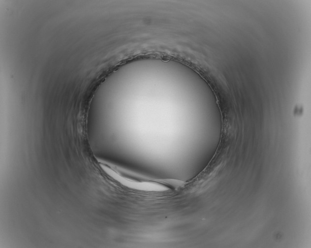 X0000090761490200708172037