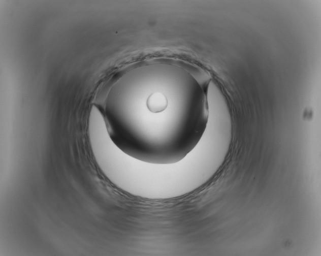 X0000090761492200708172037