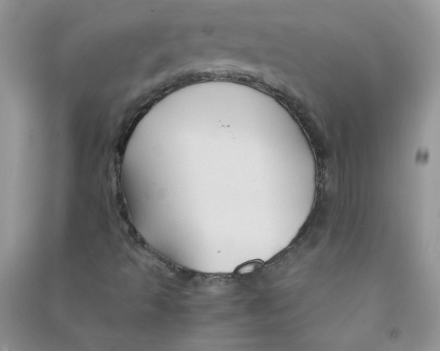 X0000090761493200708172037