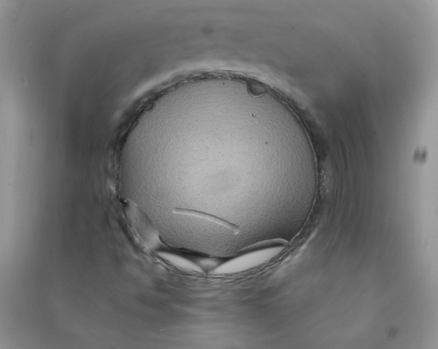 X0000090761494200708172037