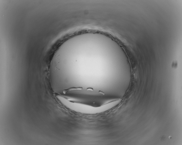 X0000090761495200708172037