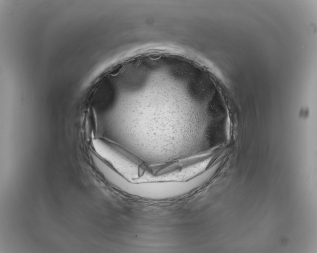 X0000090761496200708172037