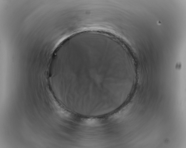 X0000090761497200708172037