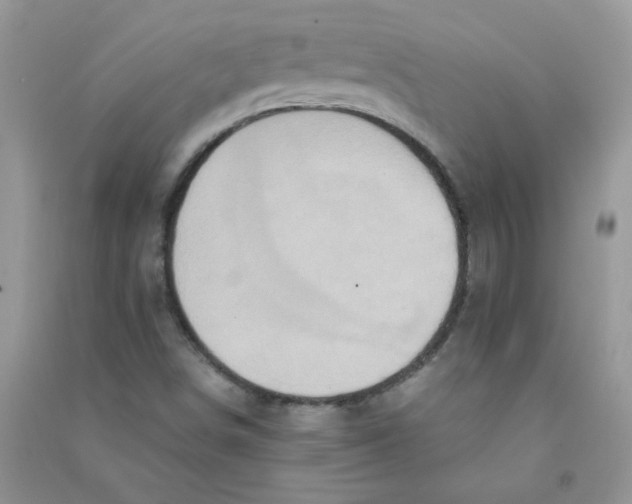 X0000090761498200708172037