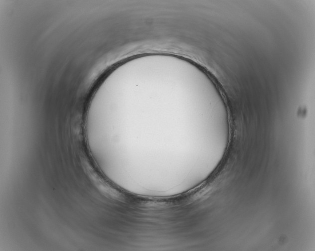 X0000090761499200708172037