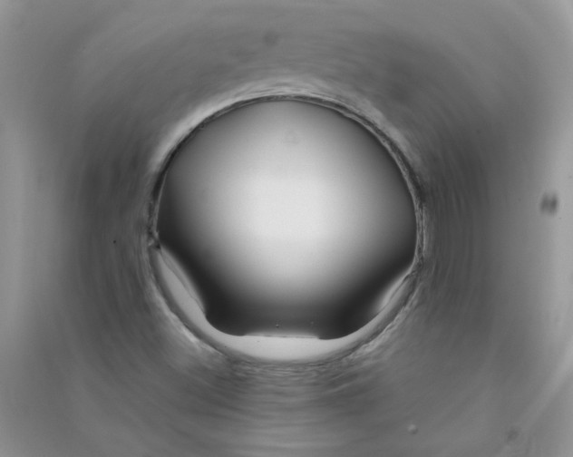 X0000090761500200708172037