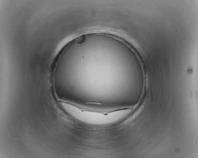 X0000090761501200708172037