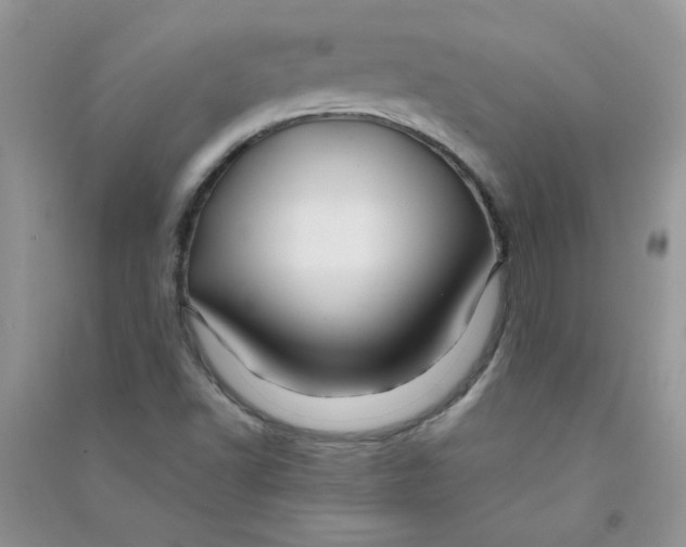 X0000090761502200708172037