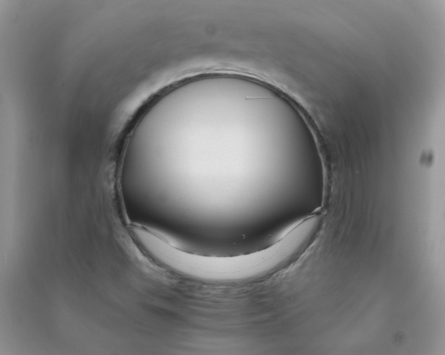 X0000090761503200708172037