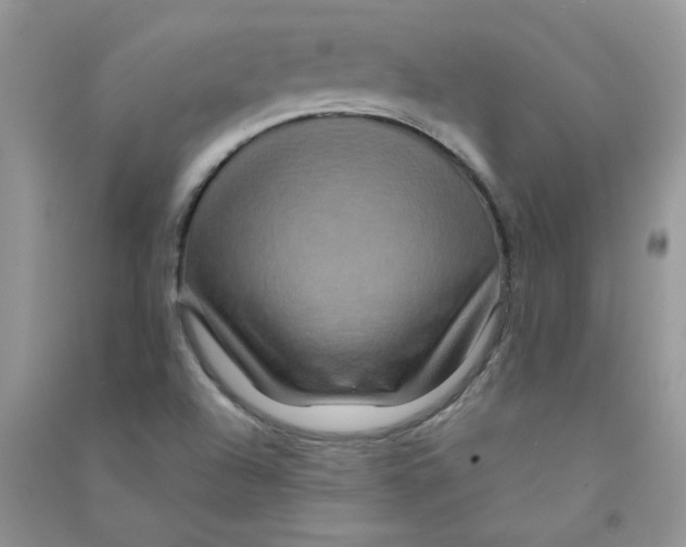 X0000090761504200708172037