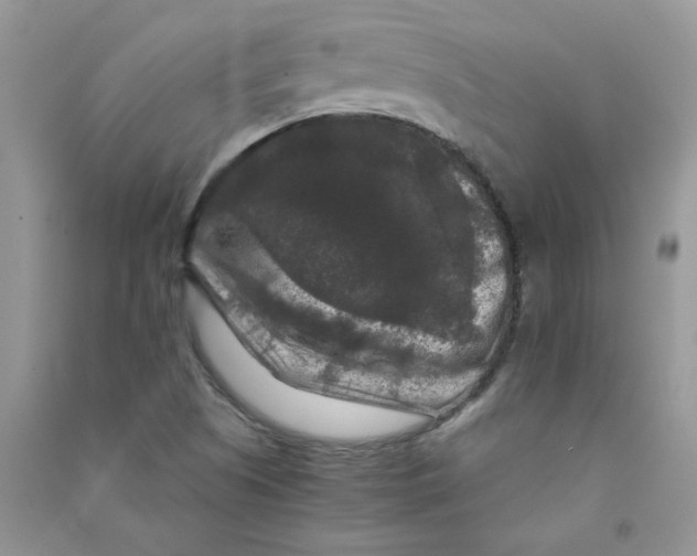 X0000090761505200708172037