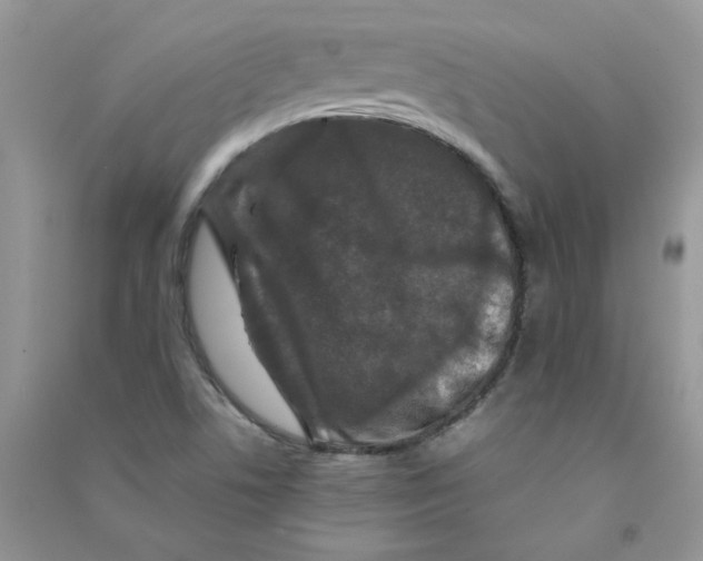 X0000090761506200708172037