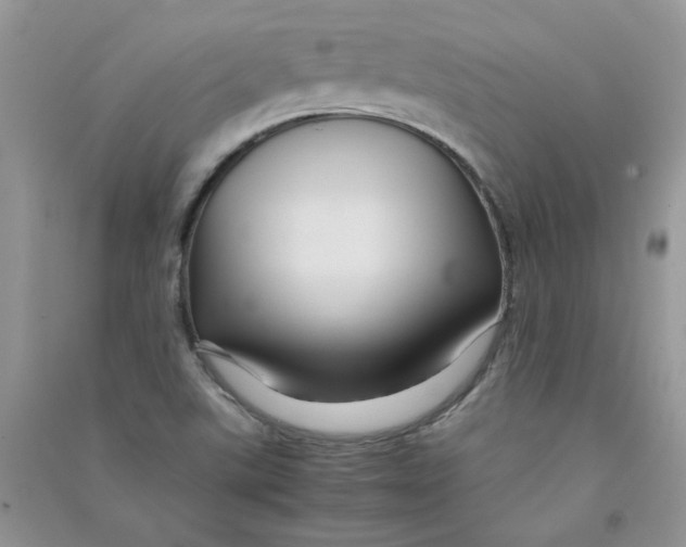 X0000090761507200708172037