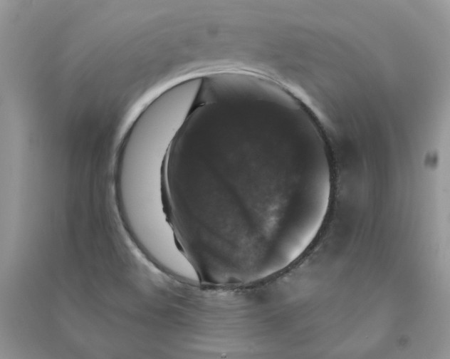 X0000090761508200708172037