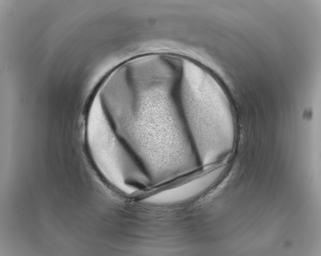 X0000090761509200708172037