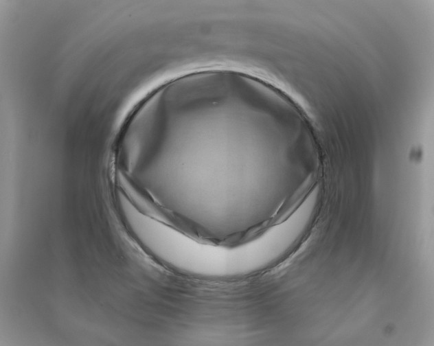 X0000090761510200708172037