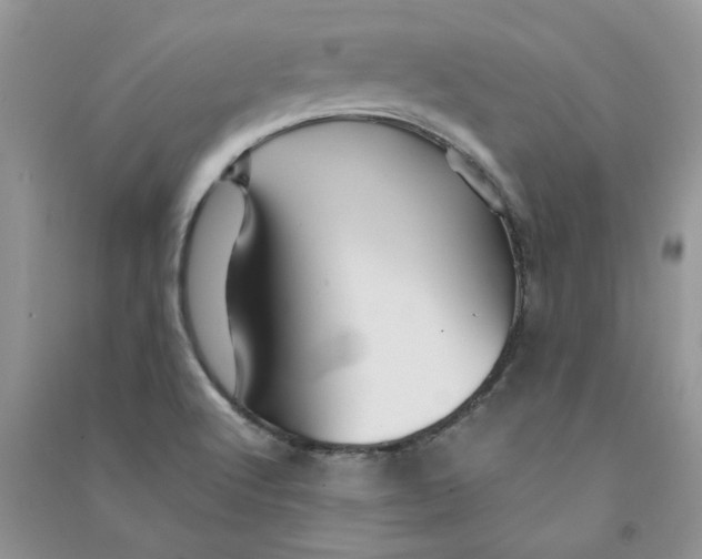 X0000090761512200708172037