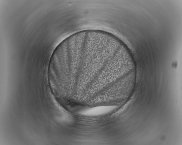 X0000090761513200708172037