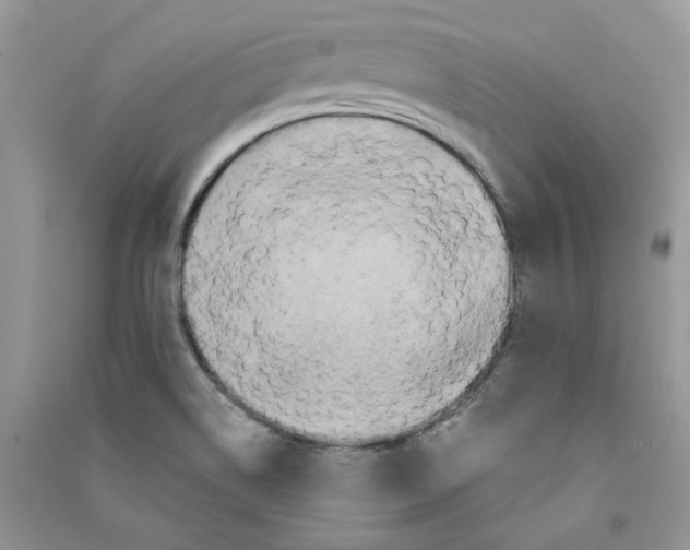 X0000090761514200708172037