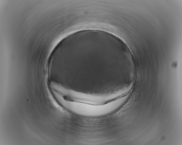 X0000090761515200708172037