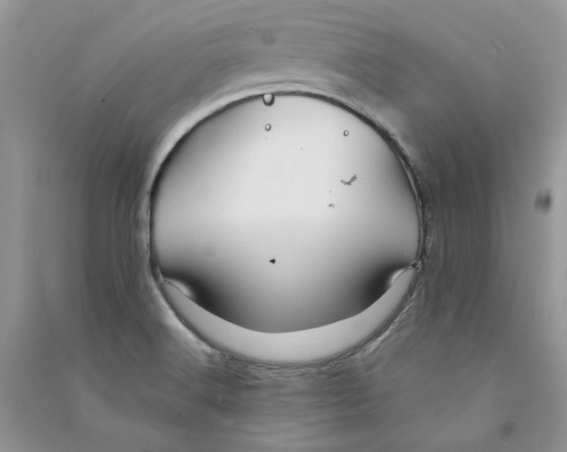 X0000090761516200708172037