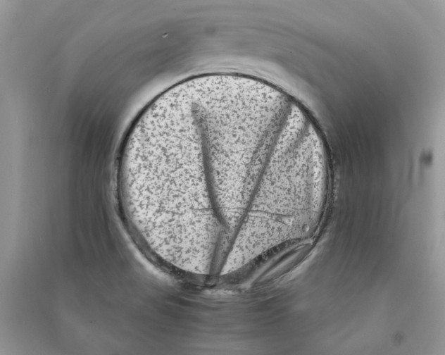 X0000090761517200708172037