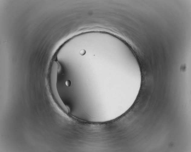 X0000090761518200708172037