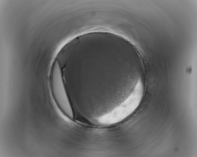 X0000090761519200708172037