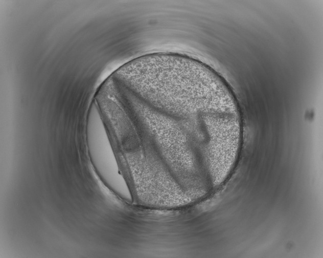 X0000090761521200708172037