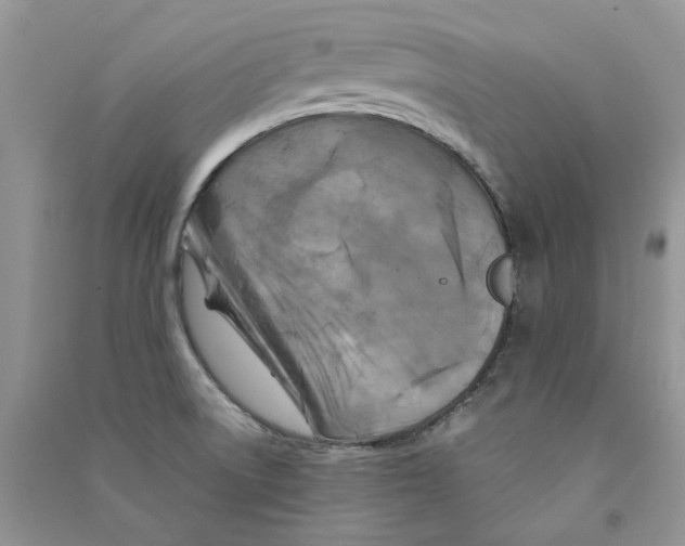 X0000090761522200708172037