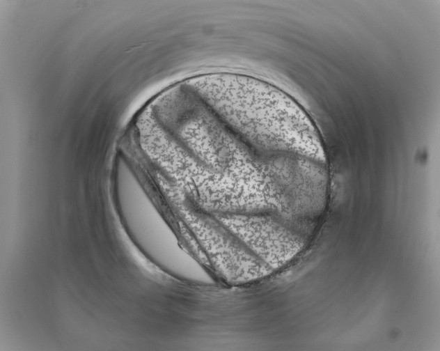 X0000090761523200708172037