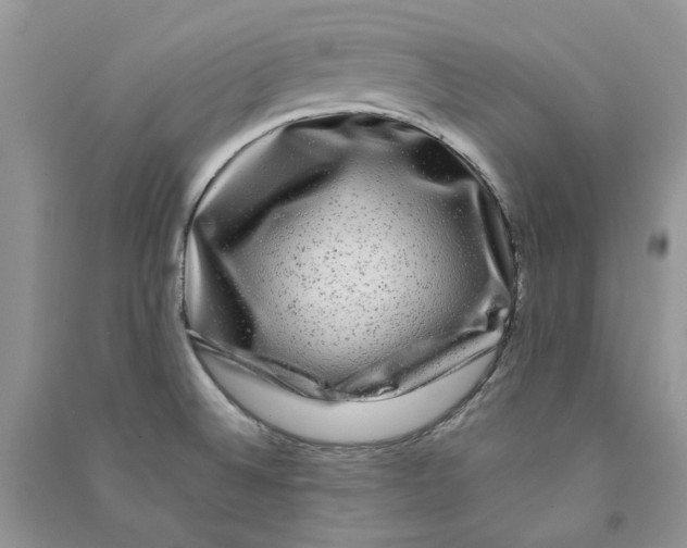 X0000090761524200708172037