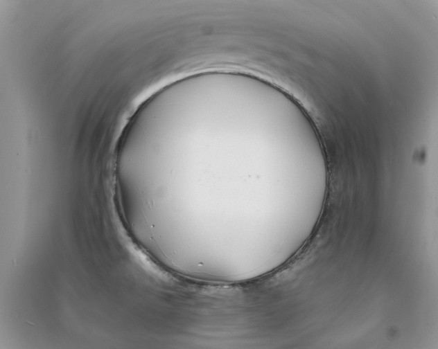 X0000090761526200708172037