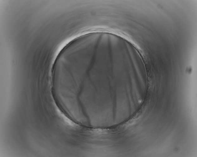 X0000090761527200708172037