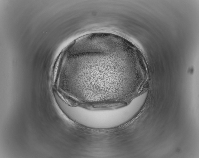 X0000090761528200708172037