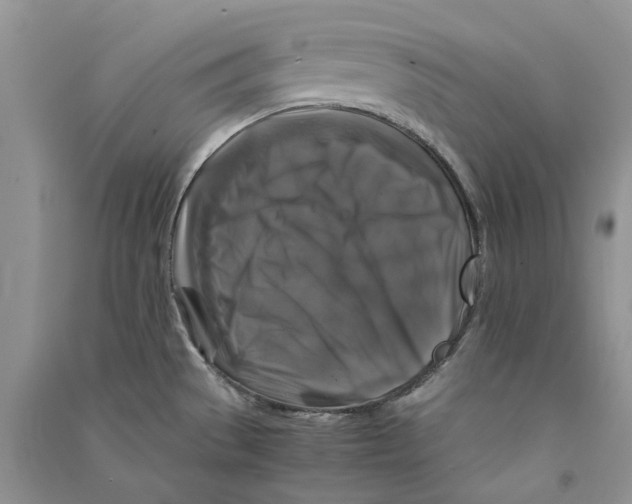 X0000090761529200708172037