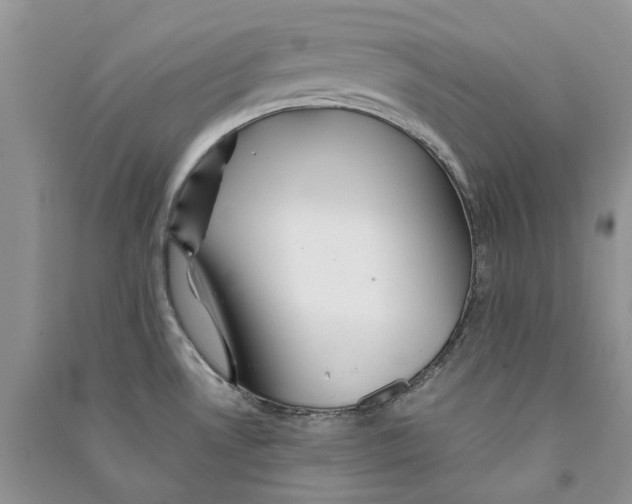 X0000090761530200708172037