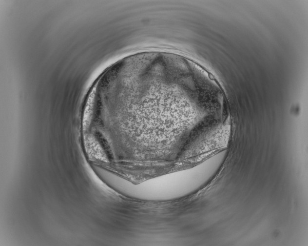 X0000090761531200708172037