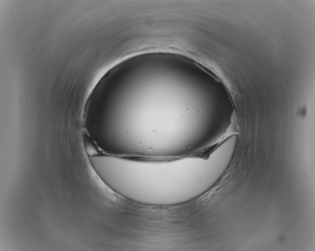 X0000090761532200708172037