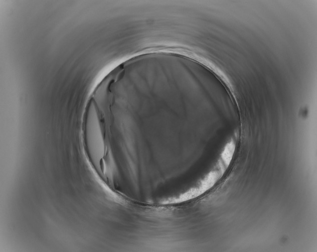 X0000090761533200708172037