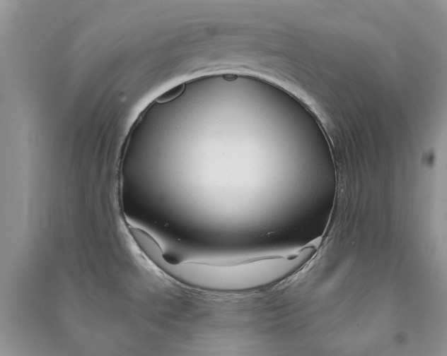 X0000090761534200708172037