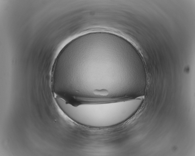 X0000090761535200708172037