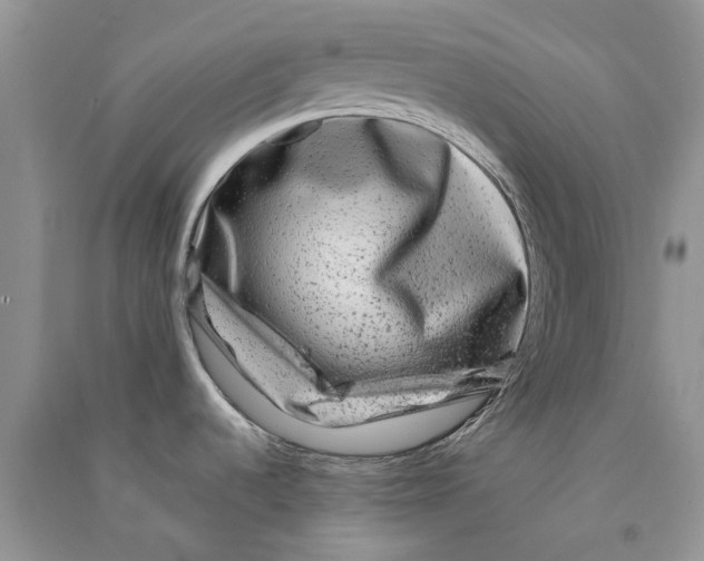 X0000090761536200708172037